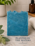 Planted by the Waters (Cedarwood)