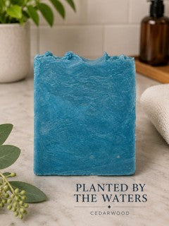 Planted by the Waters (Cedarwood)